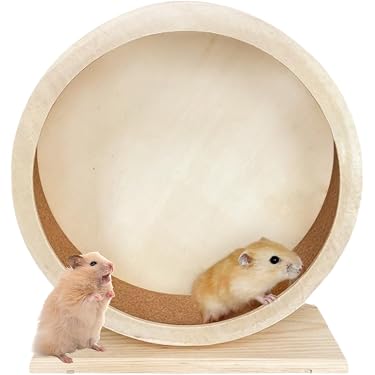 Amazon.co.jp 売れ筋ランキング: 小動物用回し車 の中で最も人気のある